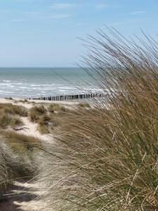 Maisons de vacances L-Escale : photos des chambres