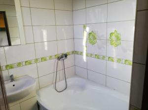 Apollo Green 1 cameră