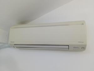 Apollo Green 1 cameră