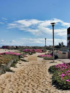 Maisons de vacances Petite maison a la plage dans residence naturiste : photos des chambres
