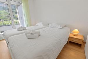 Détente Thermale à Saillon proche des bains, 4 personnes