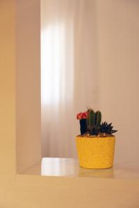 Manolia house near beach