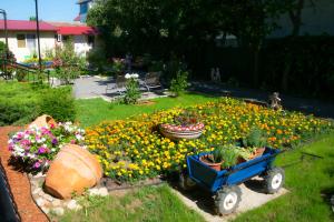 Pensiunea Mioara 2 Mai