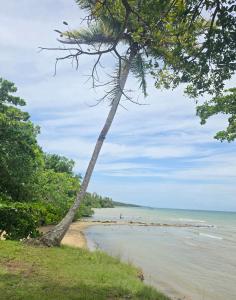 Rest in Paradise, Pool, Beach and Terrace