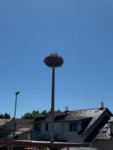 Apartmán Nerudova Terasa