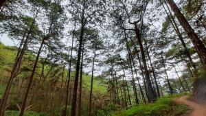 Cozy Guest House 1st flr