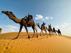 lina safari luxury camp