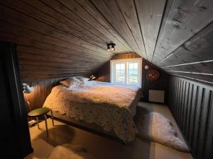 Bjødnabakkens fjellutsikt