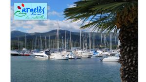 Hotels Hotel Bleu Azur : photos des chambres