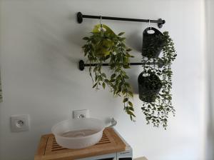 Appartements Appartement T3 lumineux et spacieux : photos des chambres