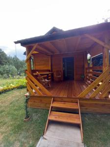 Pod lasem Celina Burda