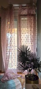 Stylish, bohemian Studio in the centre of Exarchia