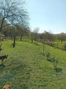 Chambre proche Giverny