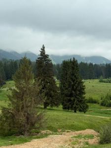 Massif Carpathian Call