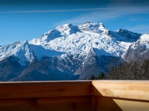 Chalets Chalet Paralpin - OVO Network : photos des chambres