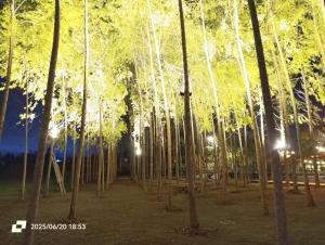 Mahanaim Casa De Campo