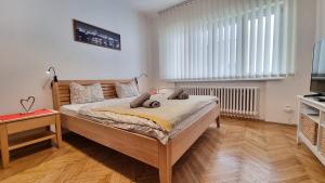 Stylish Flat in Top Area ! New with Great Access