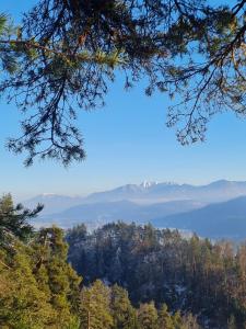 Ferienwohung- Haus Buxbaum- Nähe Wörthersee