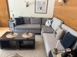 Charming apartment Berggeweih Lodge at Zwölferkogel in Hinterglemm