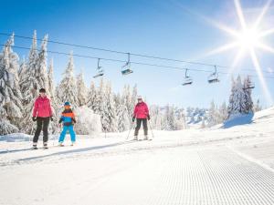 Appartements Studio familial aux Saisies, balcon sud, proche centre et pistes, 6 pers. - FR-1-594-91 : photos des chambres