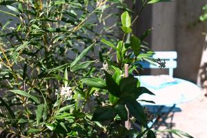Appartements Petit nid au coeur du centre historique d-Annecy : photos des chambres