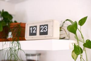 Appartements Petit nid au coeur du centre historique d-Annecy : photos des chambres