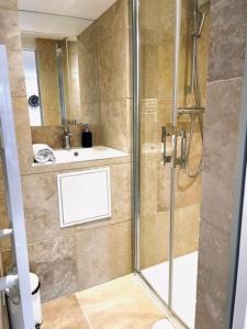 Appartements Ben Nevis charming studio in the heart of the lively life of the Pre Carre : photos des chambres