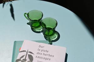 Appartements Petit nid au coeur du centre historique d-Annecy : photos des chambres