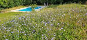 Maisons d'hotes Chateau Labistoul : photos des chambres