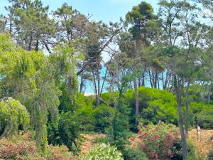 Lappartement Montenosa