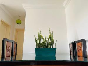 Madinaty Garden View RIA Retreat