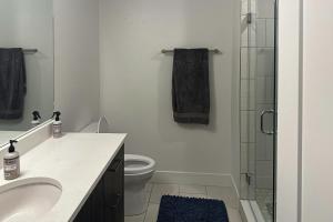 Modern Mountain Nest