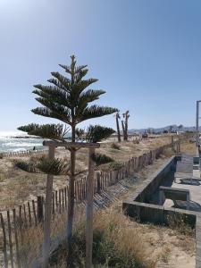 Appartement climatisé accès direct plage