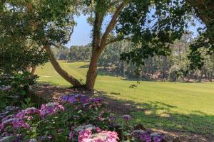 Appartements Puchouau Appartement en Rez Jardin : photos des chambres