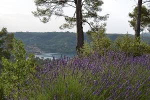 Villas Panoramic lake view : photos des chambres