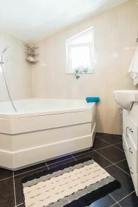 Blue Oyster Apartment