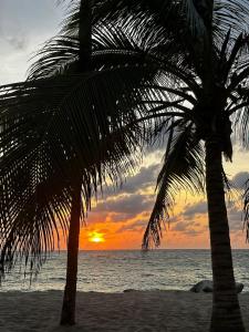Cabaña sostenible Isla Fuerte