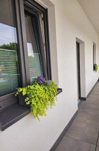 Neues Ruhrtal Apartment 3 mit Klimaanlage, Balkon