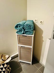 Appartements Appartement agreable spacieux : photos des chambres