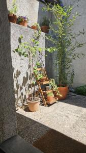Appartements Petit nid au coeur du centre historique d-Annecy : photos des chambres