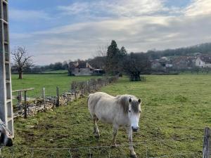 Maisons de vacances Les Charmes de Bourgogne : photos des chambres