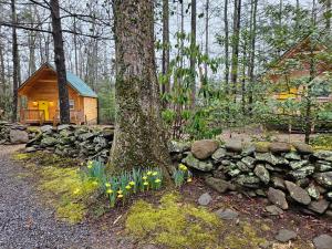 Smoky Mountain Retreat - 2 Cabins