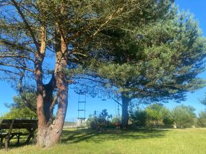 Family Chillout Wisełka