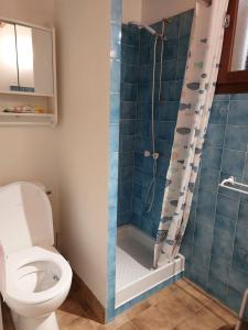 Maisons de vacances Maison au bord de l-ocean : photos des chambres