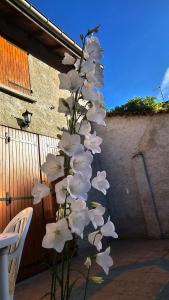 Villas Grande maison ideale reunions familiales : photos des chambres
