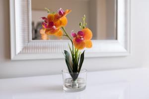 Finest Luxury 1 Bedroom Apartment