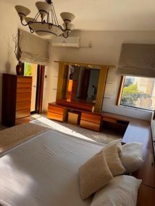 Luxurious Villa with pool