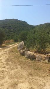 Su Frassu Authentic Gallura Stone House Vineyard Area near Olbia img43