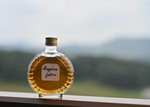 Apartman Magicna jutra Kalman Zlatibor