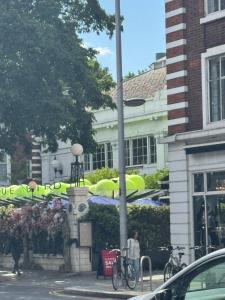 Gorgeous Sunny Chelsea Apartment